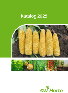 Katalog 2025